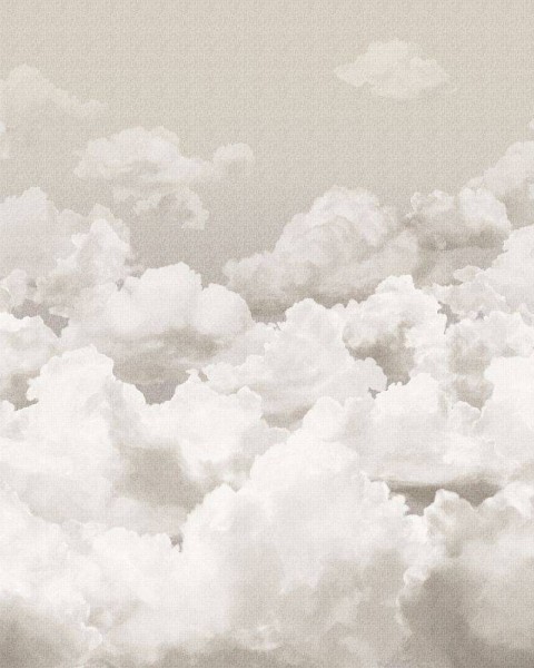 HOHENBERGER | 26783 | CLOUDS TAUPE GREY