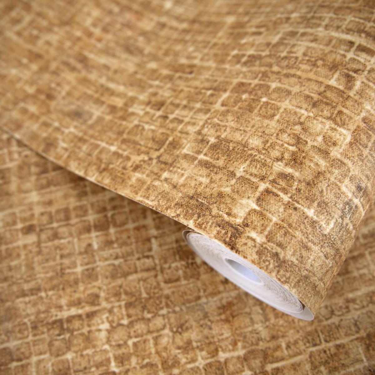 Hohenberger | Cerra | Ciel I