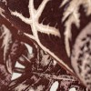 HOHENBERGER | 81265 | ELEPHANT LEAF RED