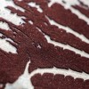 HOHENBERGER | 81265 | ELEPHANT LEAF RED