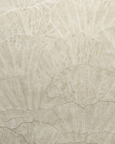 HOHENBERGER | 65003 | SEASHELL BEIGE