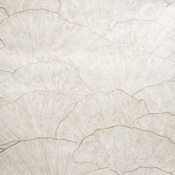 HOHENBERGER | 65004 | SEASHELL OLD WHITE