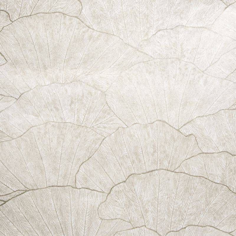 HOHENBERGER | 65004 | SEASHELL OLD WHITE