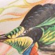 Hohenberger | GMM | Birds Paradise | 26993-HTM