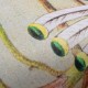 Hohenberger | GMM | Birds Paradise | 26993-HTM