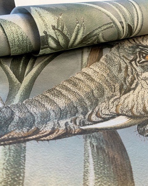 Hohenberger | GMM | Elephant Sighting | 27028-HTM