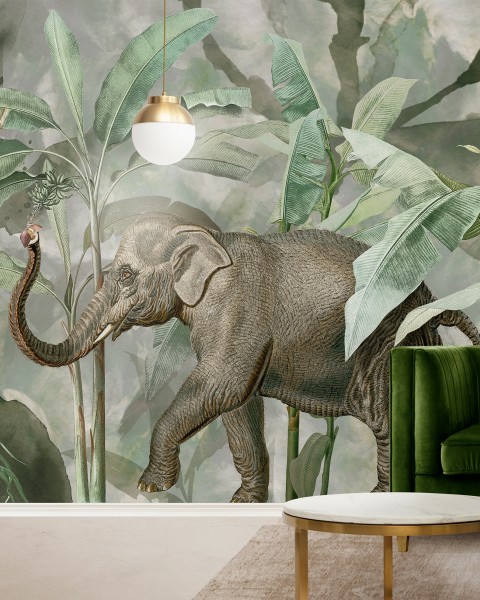 Hohenberger | GMM | Elephant Sighting | 27028-HTM