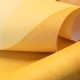 Hohenberger | GMM | Fluid Forms 