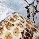 Hohenberger | GMM | Savannah with Giraffes | 18040-HTM