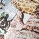 Hohenberger | GMM | Savannah with Giraffes | 18040-HTM
