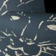 Hohenberger | GMM | Japanese cat