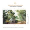 Hohenberger | GMM | Relaxing Forest | 18036-HTM