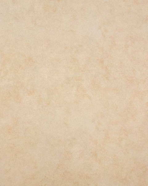 HOHENBERGER | 26931 | TILIA PLAIN PEACH