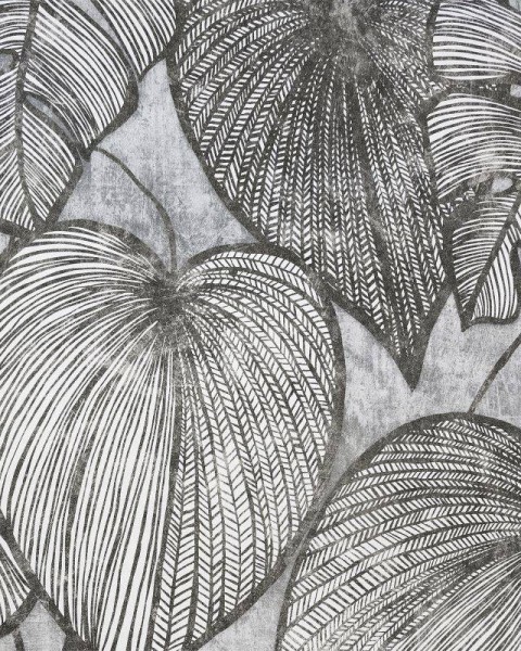 HOHENBERGER | 26939 | MONSTERA BLACK MID LEAD