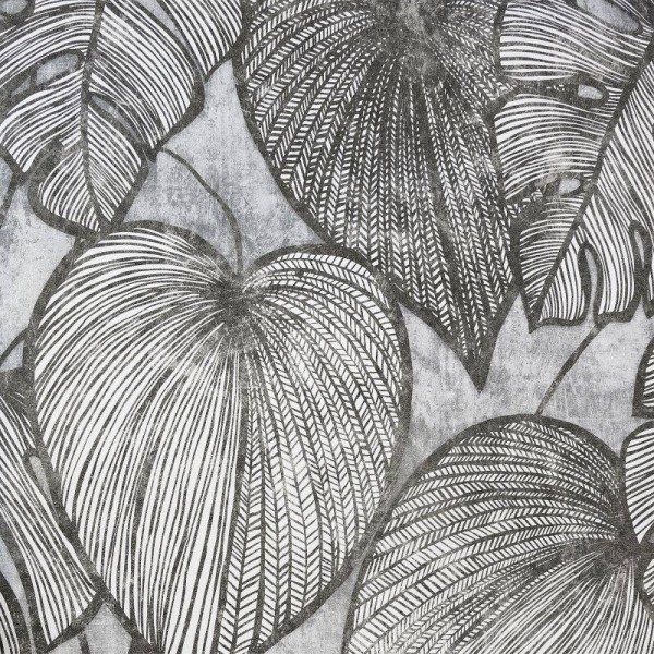 HOHENBERGER | 26939 | MONSTERA BLACK MID LEAD