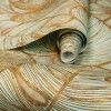 HOHENBERGER | 26943 | MONSTERA GOLD TEAL