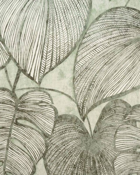 HOHENBERGER | 26935 | MONSTERA OLIVE SAGE