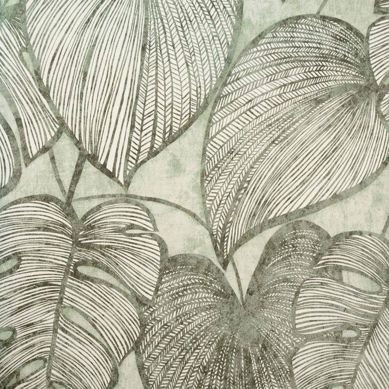 HOHENBERGER | 26935 | MONSTERA OLIVE SAGE