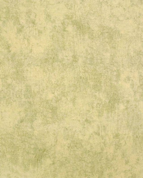 HOHENBERGER | 26944 | MONSTERA PLAIN LIME