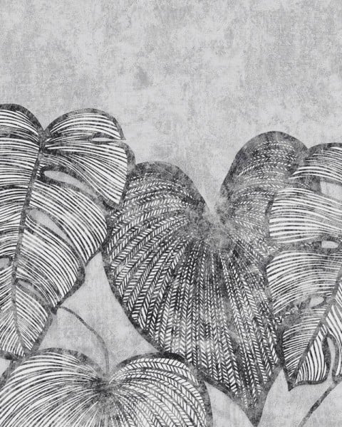 HOHENBERGER | 26977 | MONSTERA TWIN WALL BLACK MID LEAD