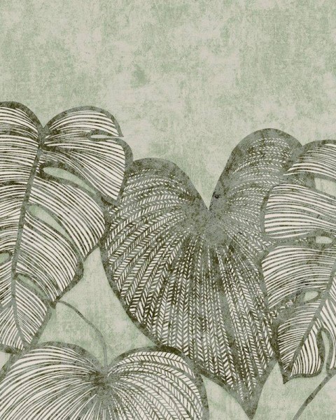 HOHENBERGER | 26973 | MONSTERA TWIN WALL OLIVE SAGE