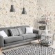 HOHENBERGER | 26916 | PETUNIA APRICOT GREYISH