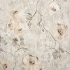 HOHENBERGER | 26916 | PETUNIA APRICOT GREYISH