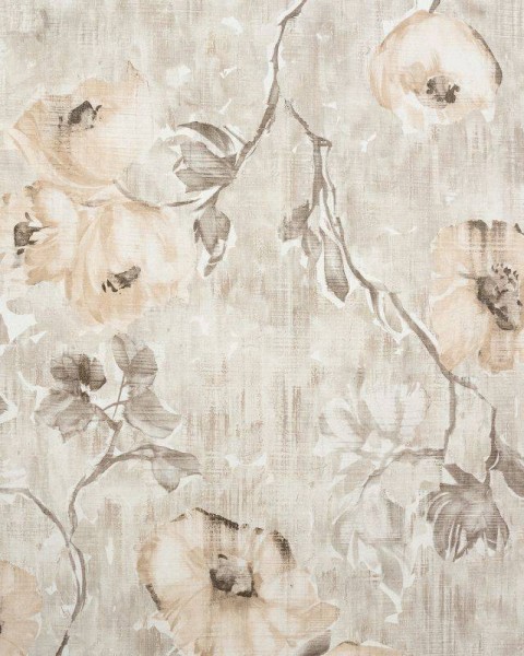 HOHENBERGER | 26916 | PETUNIA APRICOT GREYISH