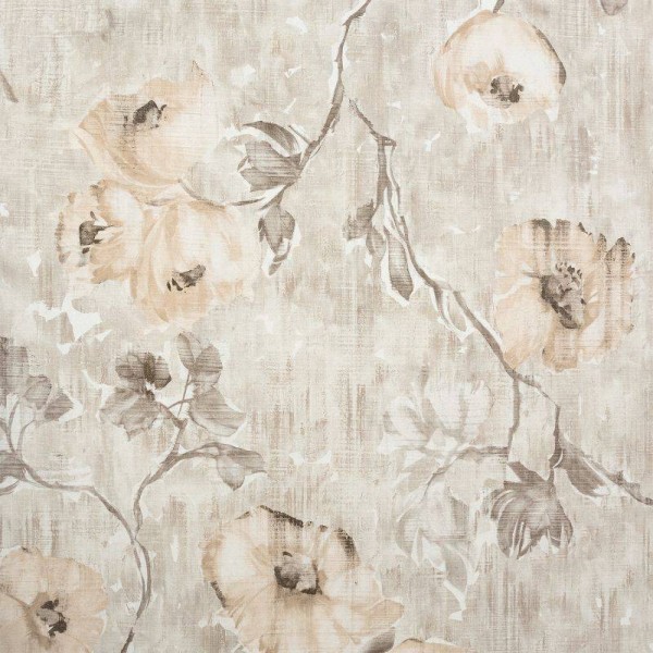 HOHENBERGER | 26916 | PETUNIA APRICOT GREYISH