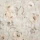 HOHENBERGER | 26916 | PETUNIA APRICOT GREYISH