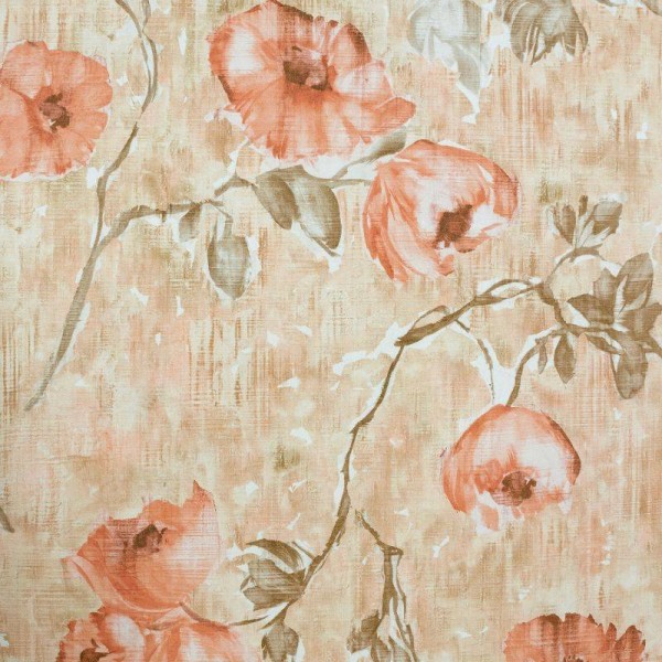 HOHENBERGER | 26915 | PETUNIA AURORA RED PEACH