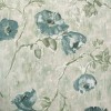HOHENBERGER | 26917 | PETUNIA STEEL BLUE SAGE