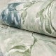 HOHENBERGER | 26917 | PETUNIA STEEL BLUE SAGE