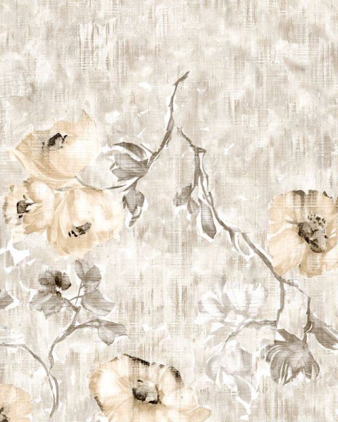 HOHENBERGER | 26964 | PETUNIA TWIN WALL APRICOT GREYISH
