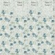 HOHENBERGER | 26965 | PETUNIA TWIN WALL STEEL BLUE SAGE