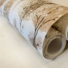 HOHENBERGER | 26970 | TILIA TWIN WALL CORD CREAM