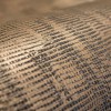 HOHENBERGER | 65169 | JACQUARD BROWN