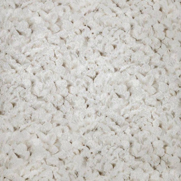 HOHENBERGER | 65307 | ARCO ALLSPICE