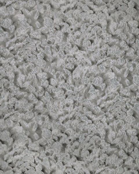HOHENBERGER | 65309 | ARCO BLACK CUMIN