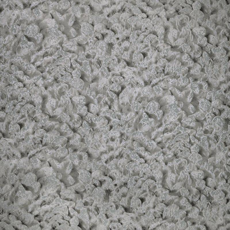 HOHENBERGER | 65309 | ARCO BLACK CUMIN