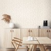 HOHENBERGER | 65311 | ARCO HIMALAYAN SALT