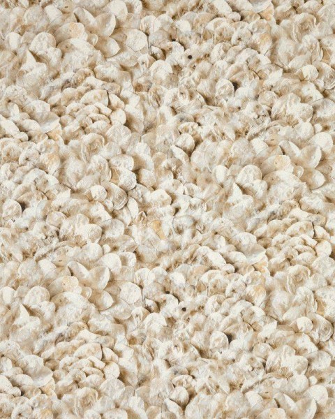 HOHENBERGER | 65308 | ARCO NUTMEG