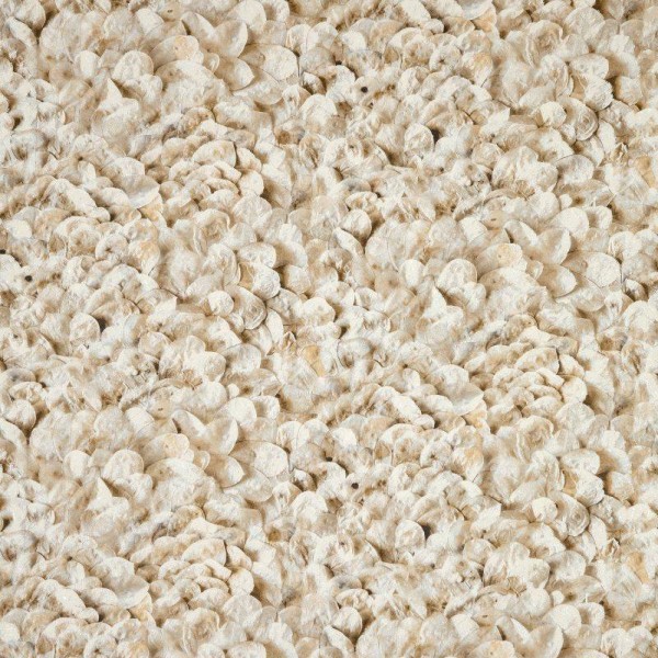 HOHENBERGER | 65308 | ARCO NUTMEG