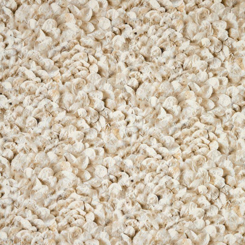 HOHENBERGER | 65308 | ARCO NUTMEG