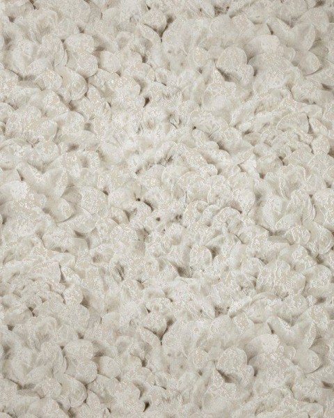 HOHENBERGER | 65306 | ARCO PINE NUT