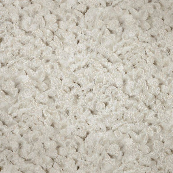 HOHENBERGER | 65306 | ARCO PINE NUT