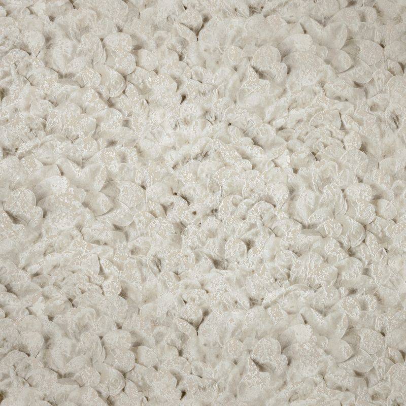 HOHENBERGER | 65306 | ARCO PINE NUT