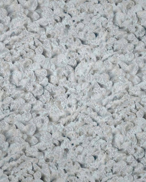 HOHENBERGER | 65305 | ARCO POPPY SEED
