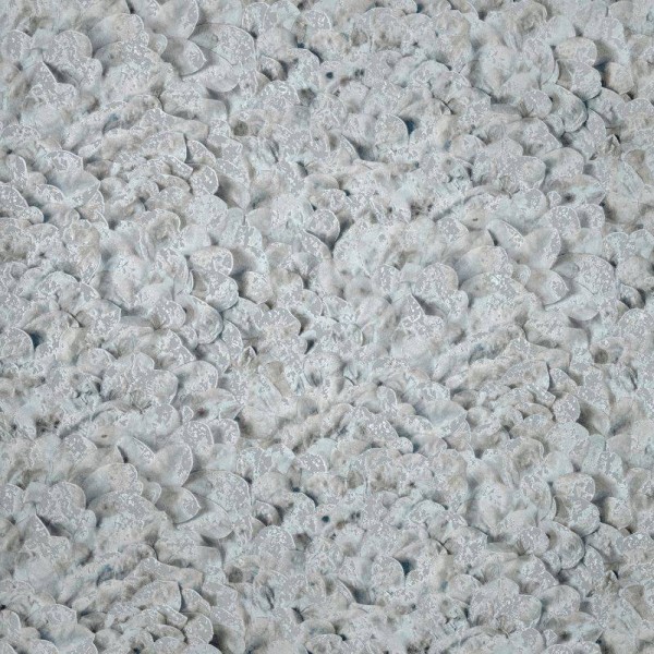 HOHENBERGER | 65305 | ARCO POPPY SEED