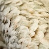 HOHENBERGER | 65304 | ARCO SAGE